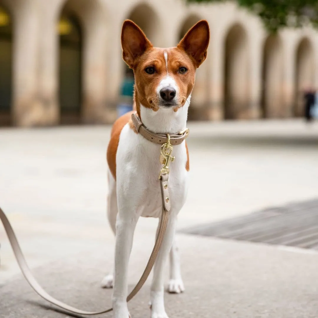 Milan Vegan Leather 4ft Leash | Multiple Colours