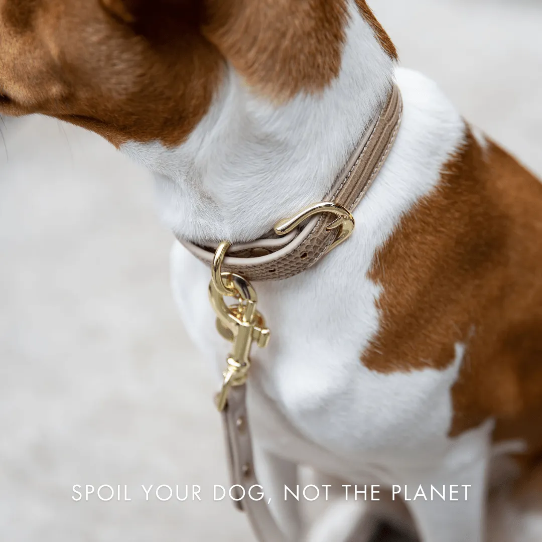 Milan Vegan Leather 4ft Leash | Multiple Colours