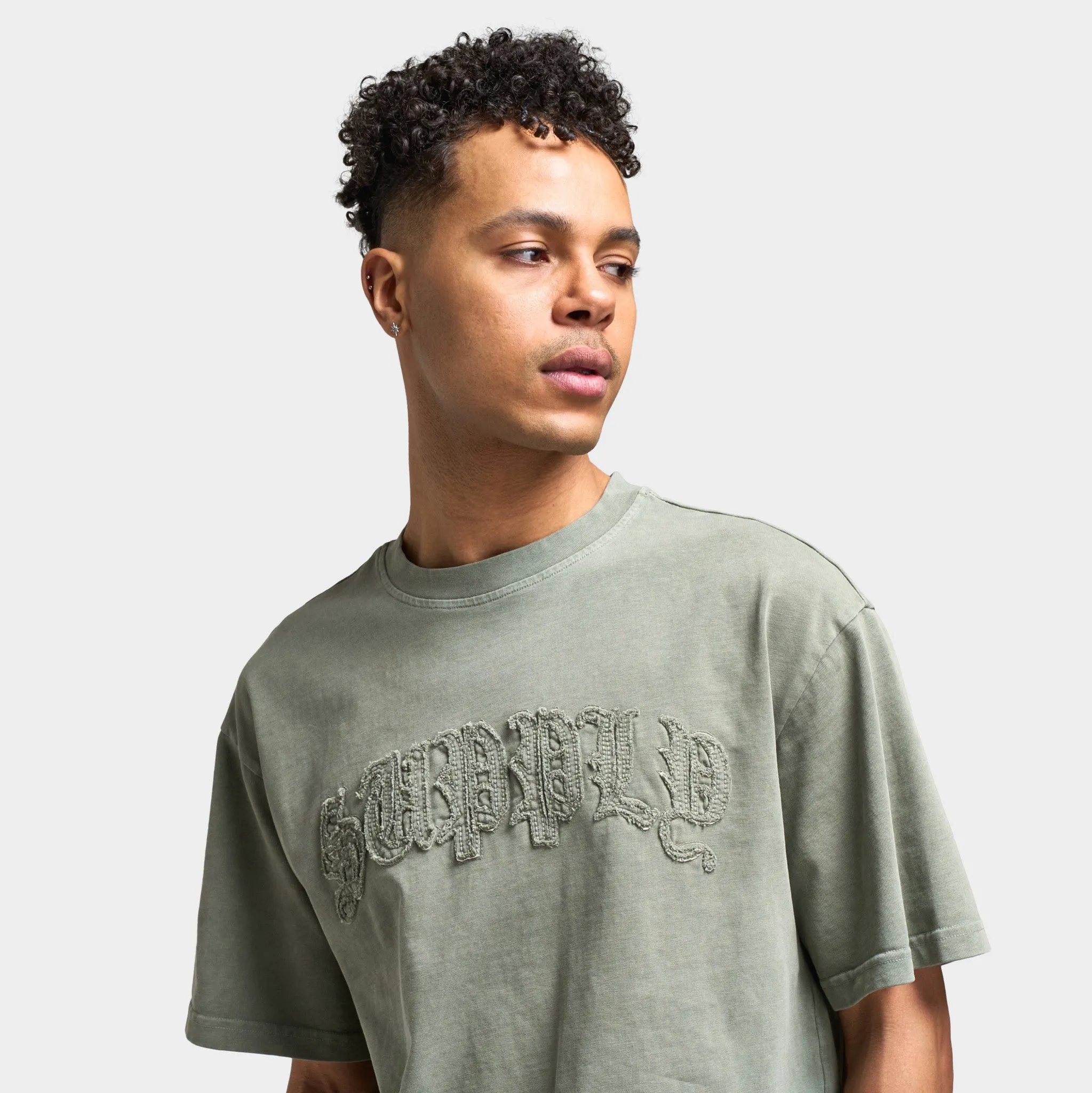 Supply & Demand Aydar Graphic T-Shirt / Washed Ivy Green