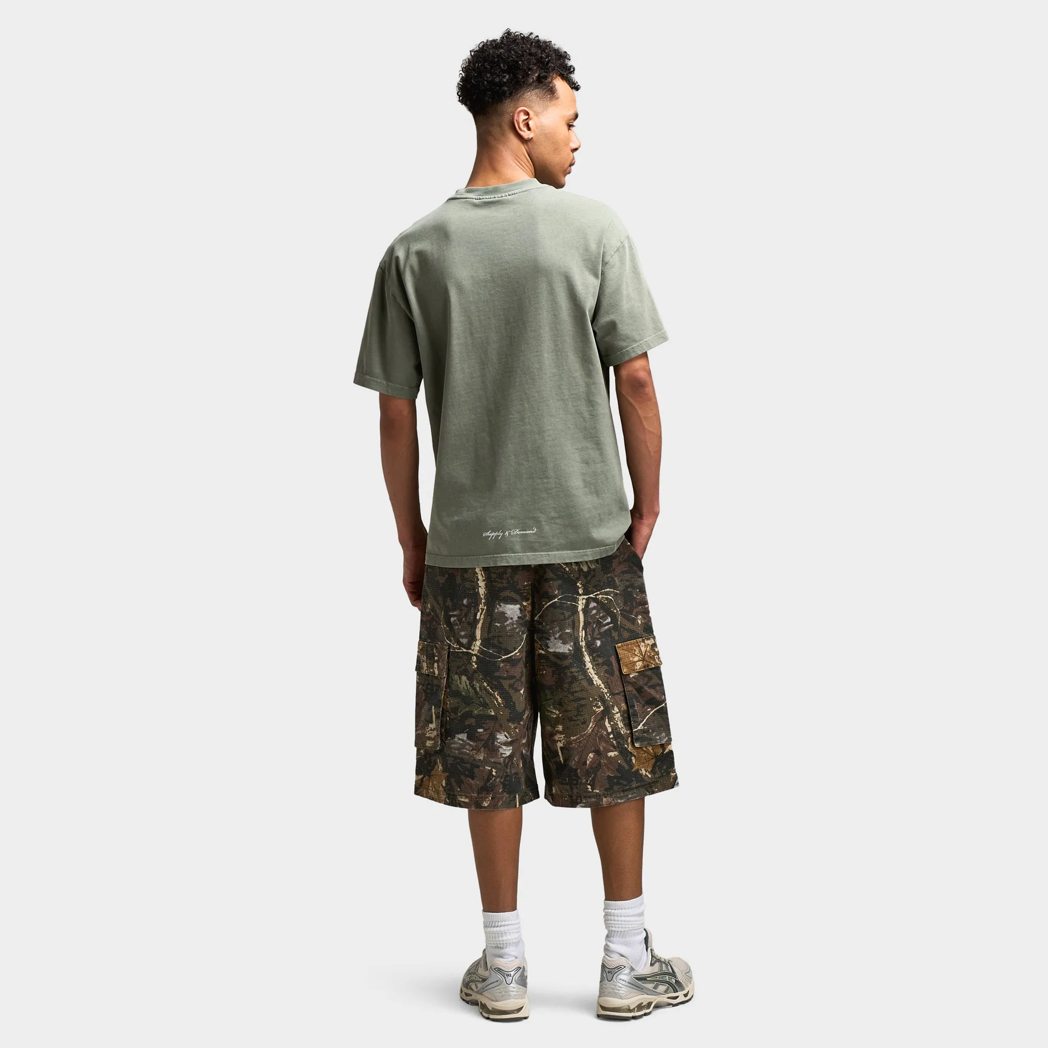 Supply & Demand Aydar Graphic T-Shirt / Washed Ivy Green